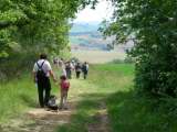 sortie